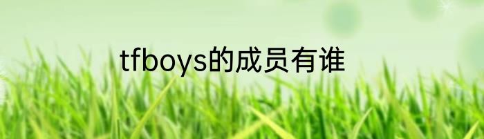 tfboys的成员有谁