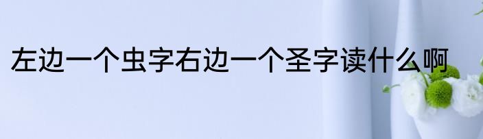 左边一个虫字右边一个圣字读什么啊