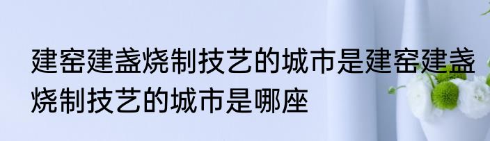 建窑建盏烧制技艺的城市是建窑建盏烧制技艺的城市是哪座