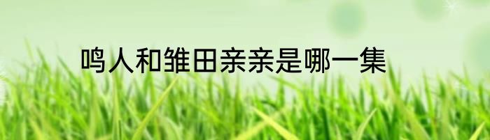 鸣人和雏田亲亲是哪一集