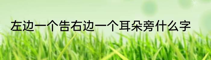 左边一个告右边一个耳朵旁什么字