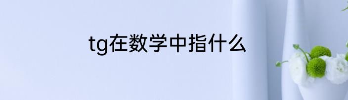 tg在数学中指什么