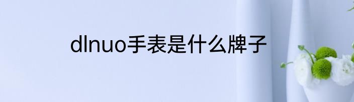 dlnuo手表是什么牌子