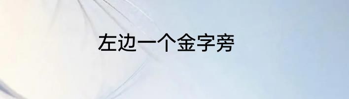 左边一个金字旁