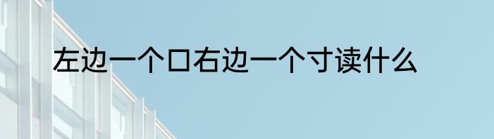 左边一个口右边一个寸读什么