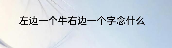 左边一个牛右边一个字念什么