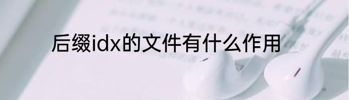 后缀idx的文件有什么作用