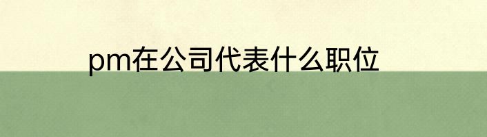 pm在公司代表什么职位