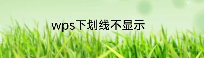 wps下划线不显示