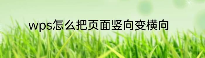 wps怎么把页面竖向变横向