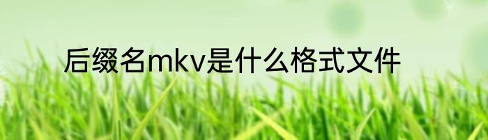 后缀名mkv是什么格式文件
