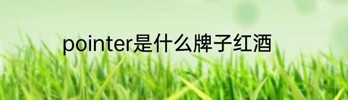 pointer是什么牌子红酒