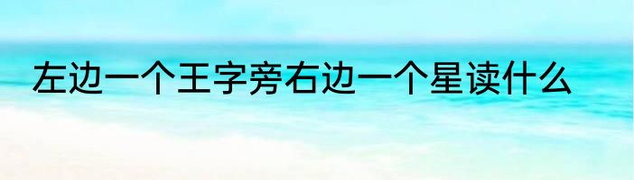 左边一个王字旁右边一个星读什么