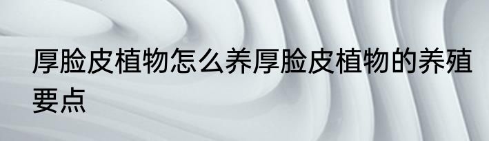 厚脸皮植物怎么养厚脸皮植物的养殖要点