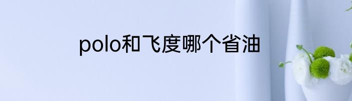 polo和飞度哪个省油