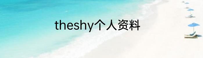 theshy个人资料