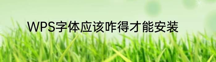 WPS字体应该咋得才能安装