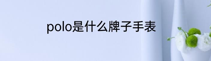 polo是什么牌子手表