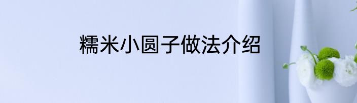 糯米小圆子做法介绍
