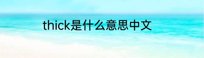 thick是什么意思中文