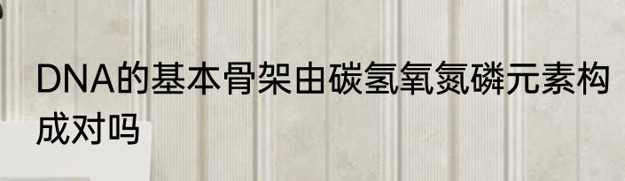 DNA的基本骨架由碳氢氧氮磷元素构成对吗