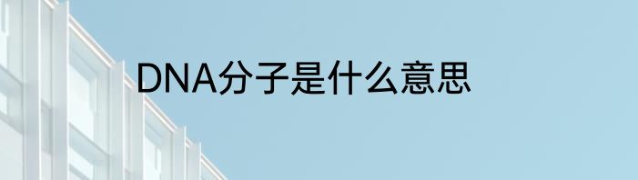 DNA分子是什么意思