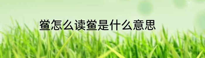 鲎怎么读鲎是什么意思