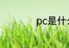 pc是什么单位的简称