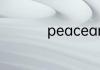 peaceandlove什么梗