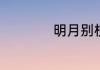 明月别枝惊鹊的意思