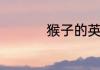 猴子的英语单词是什么