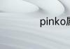 pinko属于奢侈品吗