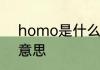 homo是什么意思homo具体是什么意思