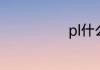 pl什么意思中文