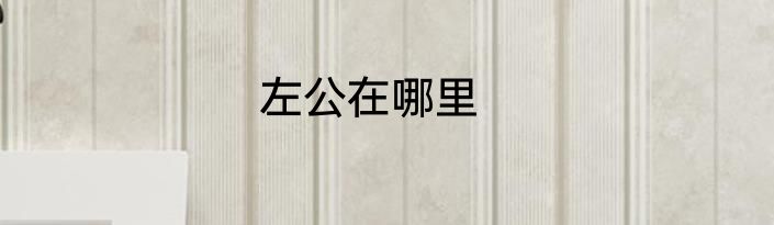 左公在哪里