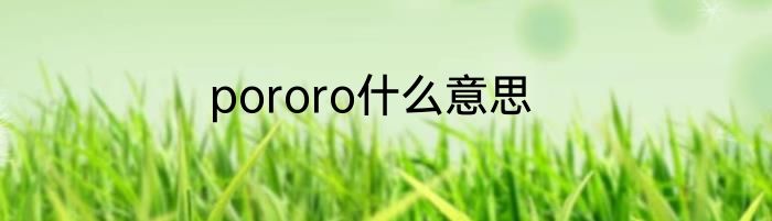 pororo什么意思
