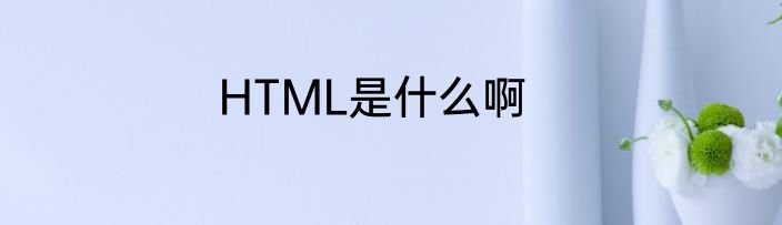 HTML是什么啊