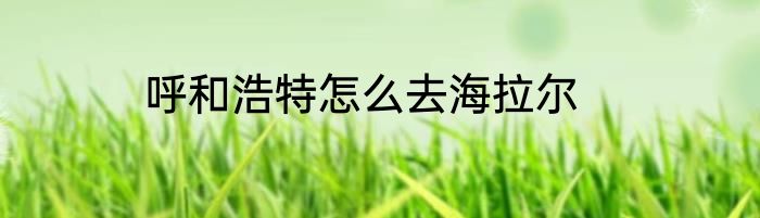 呼和浩特怎么去海拉尔