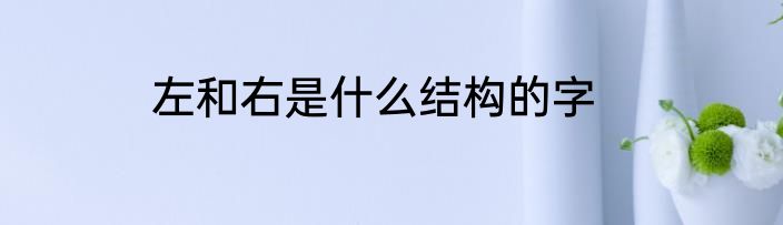 左和右是什么结构的字