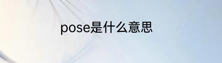 pose是什么意思
