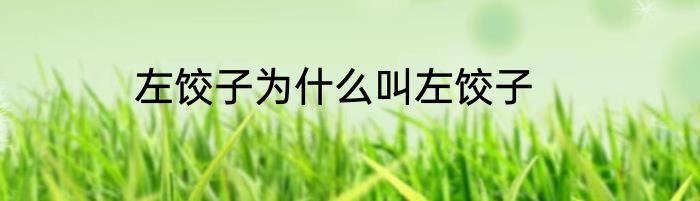 左饺子为什么叫左饺子