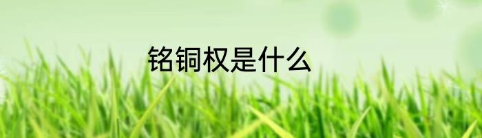 铭铜权是什么