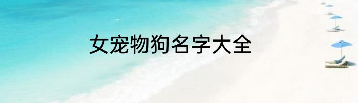女宠物狗名字大全