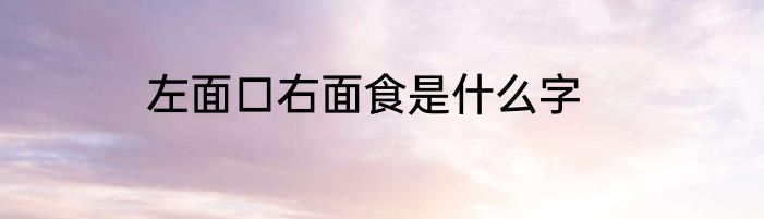左面口右面食是什么字