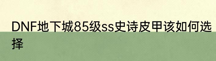 DNF地下城85级ss史诗皮甲该如何选择