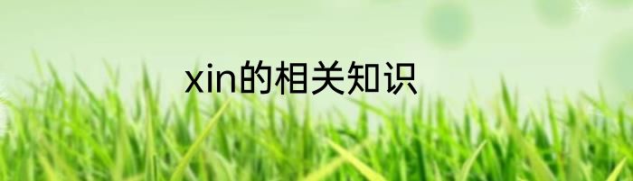 xin的相关知识