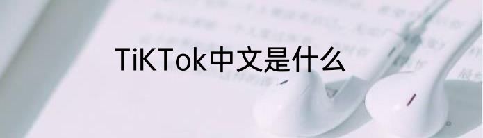 TiKTok中文是什么