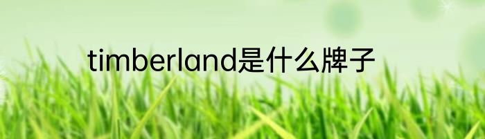 timberland是什么牌子