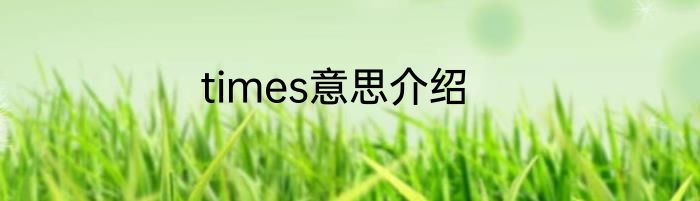 times意思介绍