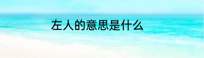 左人的意思是什么